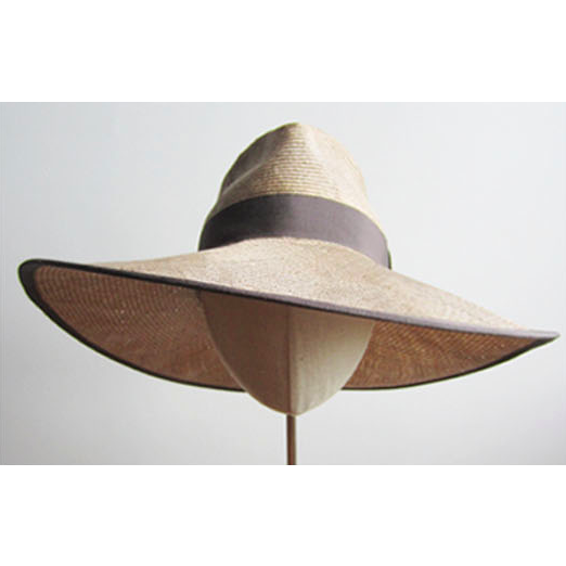 Wide Brim Tan Hat